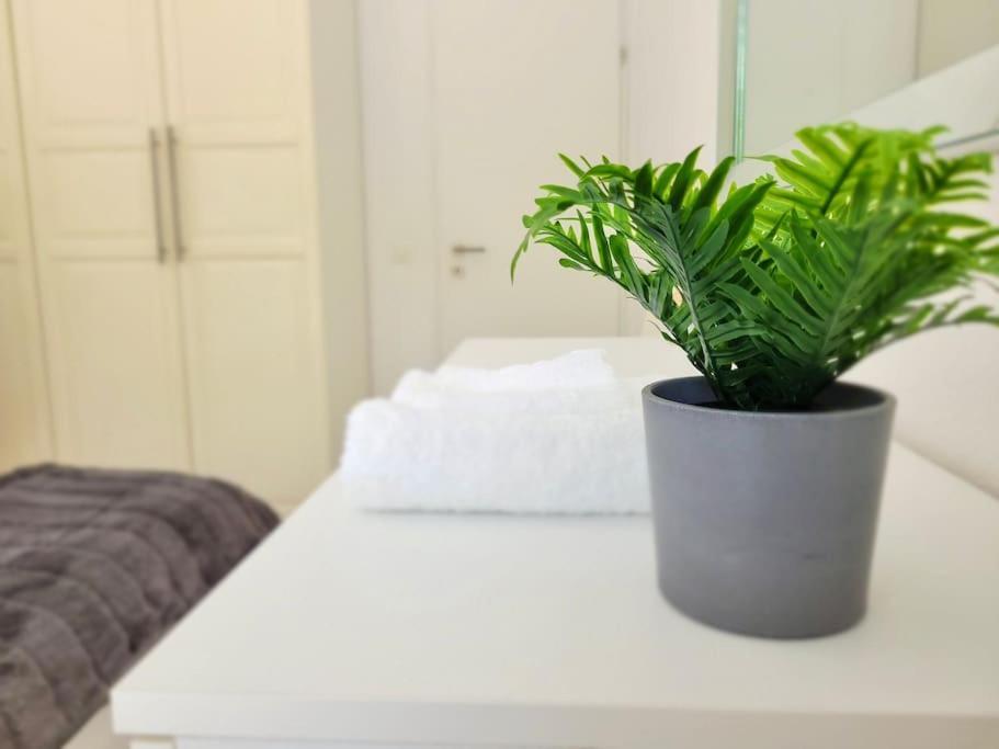 Apartment Palma - Central & Cozy With Free Private Parking Lugano Buitenkant foto